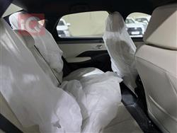 بي واي دي Qin Plus